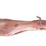 CHIVITO-XKG