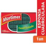 MORTIMER-FIB.ESPON.CUADRIC.