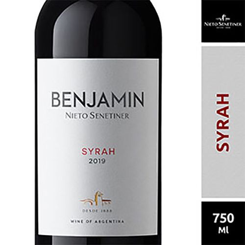 BENJAMIN VINO SYRAH X750CC