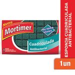 MORTIMER-FIB.ESPON.ANTIBAC.