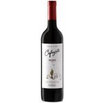 CAFAYATE-VINO-MALBEC-X750CC