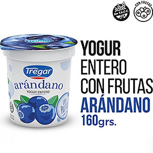 TREGAR YOGUR C/FRUTAS ARAND.X160GR