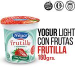 TREGAR-YOGUR-DESC.C-FRUT.X160GR