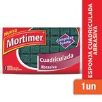MORTIMER-ESPONJA-ABRASIVA-X1
