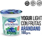TREGAR-YOGUR-DESC.C-ARAND.X160GR
