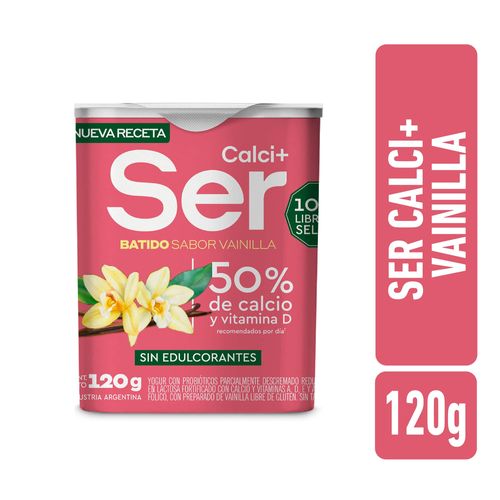 SER YOGUR CALC VAI X120G