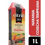 CITRIC-JUGO-NARANJA-X-1LT
