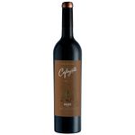 CAFAYATE-VINO-ROBLE-MALBEC-X750CC